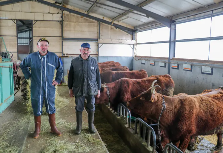 <em class="placeholder">Eleveurs de vaches salers dans le Cantal</em>