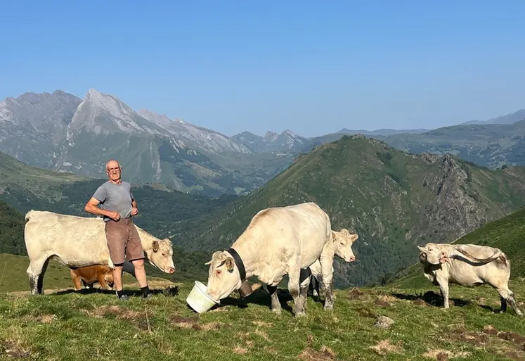 <em class="placeholder">Eleveur bovin viande et vaches charolaise à l&#039;estive dans les Hautes-Pyrénées. Pâturage, transhumance, agriculture de montagne.</em>