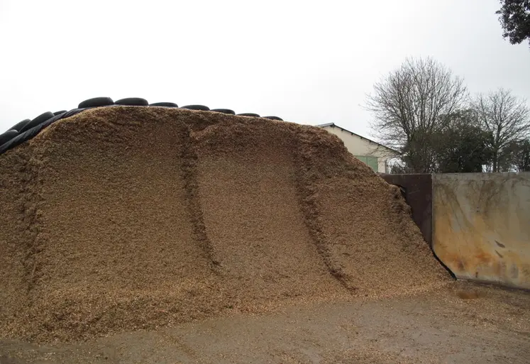 <em class="placeholder">silo de maïs ensilage</em>