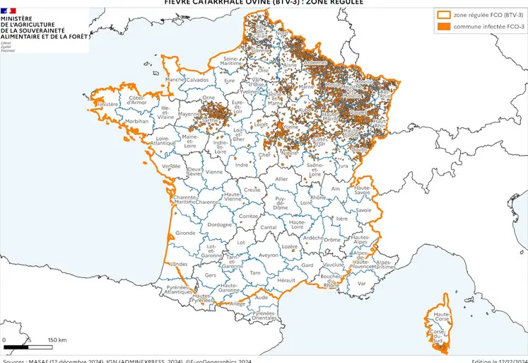 Carte de la zone régulée au titre de la FCO 3 au 12 décembre 2024