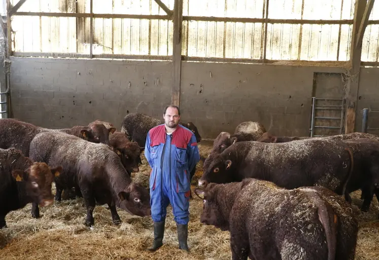 <em class="placeholder">Système naisseur engraisseur en race salers avec croisement charolais dans le Cantal</em>