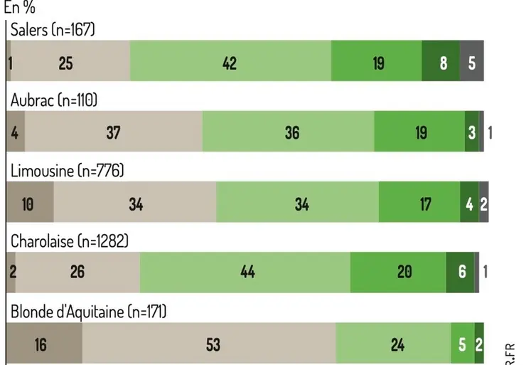 <em class="placeholder">Graphique - Une grande variabilité du niveau de persilléNotes de persillé des vaches de réforme (sur 2 506 vaches dans 9 abattoirs)</em>