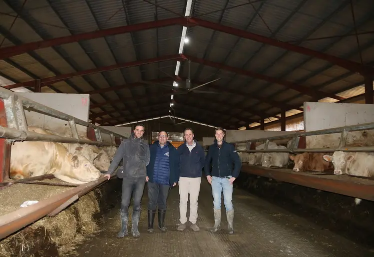<em class="placeholder">Eleveurs bovins viande et leur conseiller, dans le bâtiment d&#039;engraissement des jeunes bovins où un ventilateur assure la circulation de l&#039;air. </em>