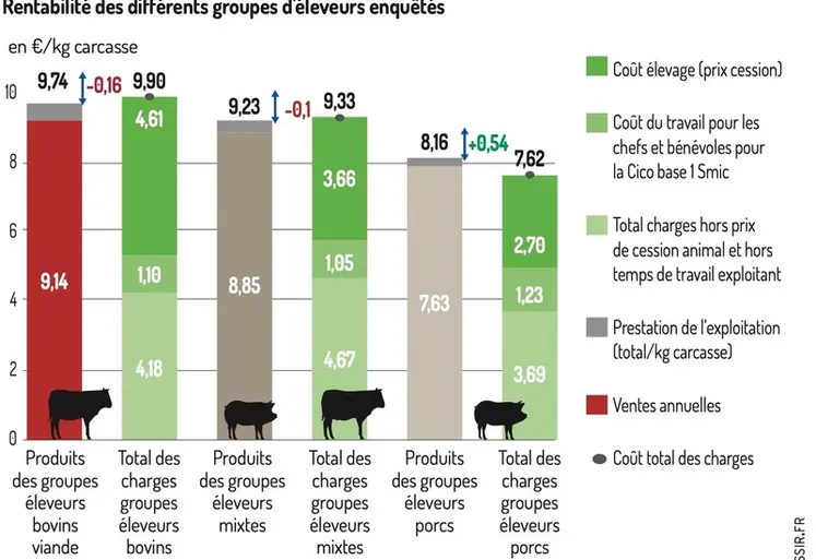 <em class="placeholder">Graphique - Cette enquête a aussi montré que la rentabilité était moins évidente en bovins viande qu’en porcsRentabilité des différents groupes d&#039;éleveurs enquêtés</em>