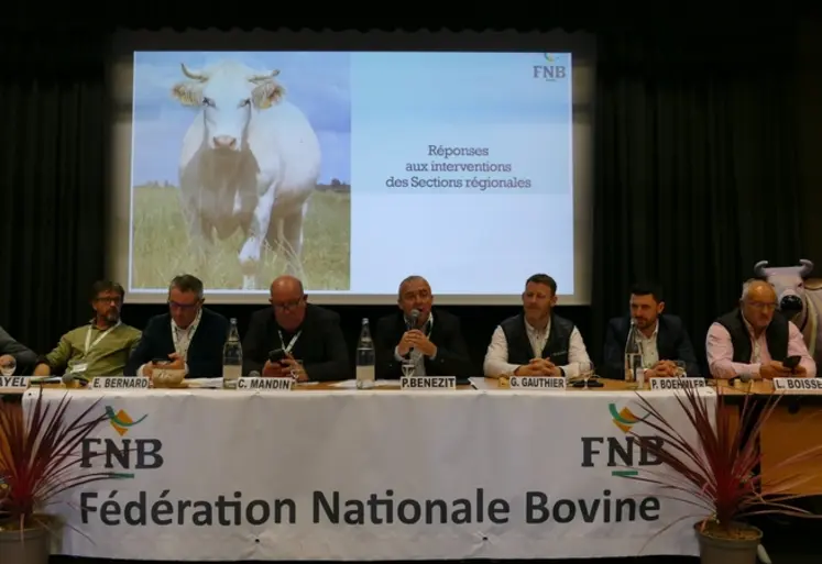 <em class="placeholder">Pour Patrick Bénézit, président de la Fédération nationale bovine, il est aujourd’hui légitime et surtout plus que jamais possible de « redonner sa grandeur à ...</em>