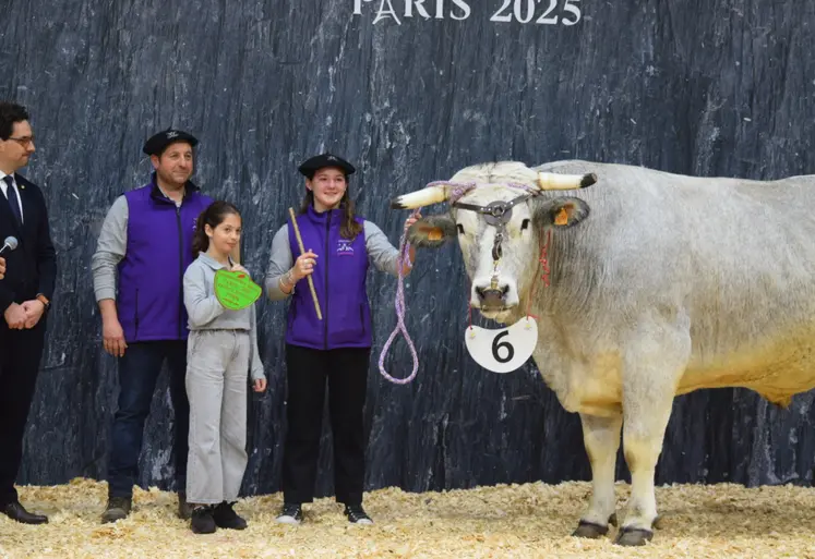 boeuf gascon label rouge et ses éleveurs sur le podium du concours général agricole au salon de l'agriculture 2025, à Paris