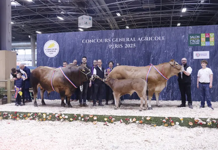 Concours général agricole 2025 race parthenaise