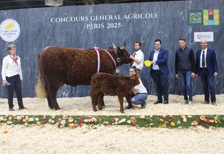 concours général agricole Salers salon de l'agriculture