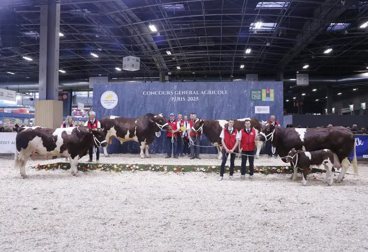 Concours général agricole 2025 race rouge des prés