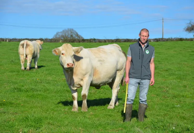 <em class="placeholder">Rémi Louvrier, installé dans le Morvan, avec son troupeau de vaches charolaises</em>