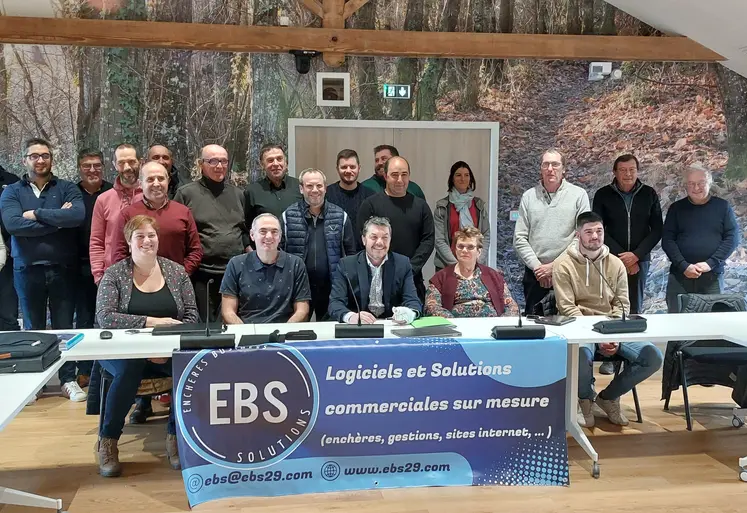 marché de bétail vif vente aux enchères