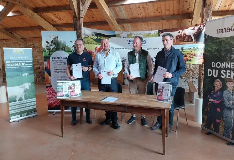 Terrena Elivia La coopérative U filière viande bovine "Charolais U"