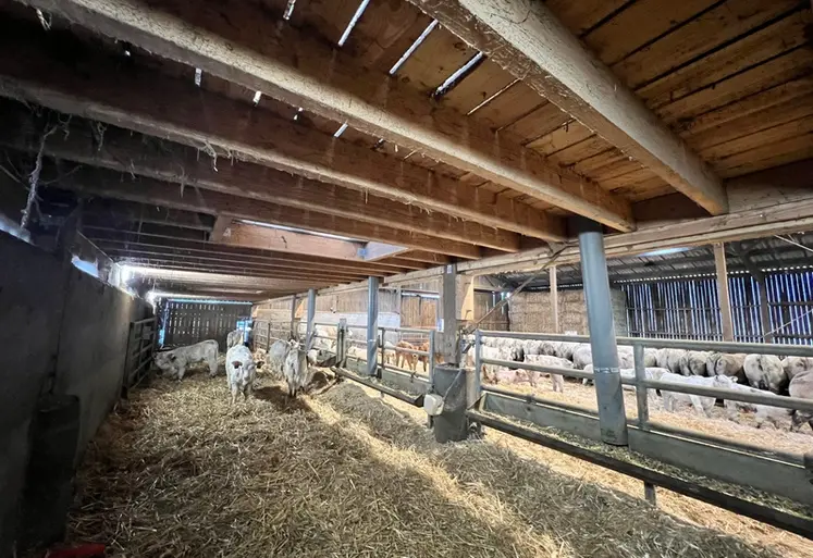 <em class="placeholder">bâtiment vaches allaitantes parc à veau confort thermique</em>