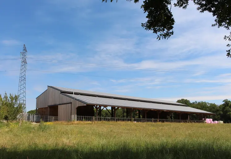 <em class="placeholder">bâtiment bovins viande panneaux photovoltaïque</em>