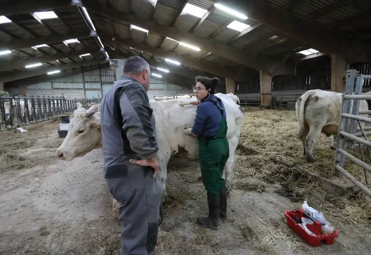 <em class="placeholder">Veterinaire effecuant une tournee chez des eleveurs de bovins charolais dans le departement de la Meuse.
Controle sanitaire sur des charolais.
</em>