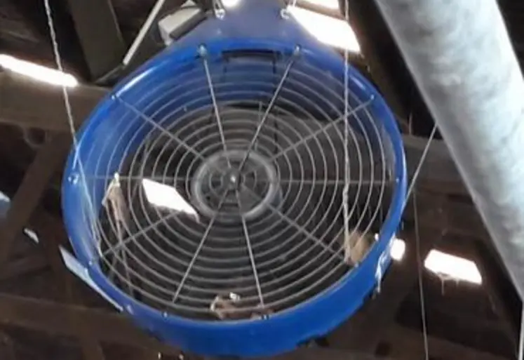 ventilateur à flux horizontal bâtiment élevage bovin