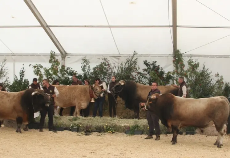 <em class="placeholder">concours national aubrac</em>