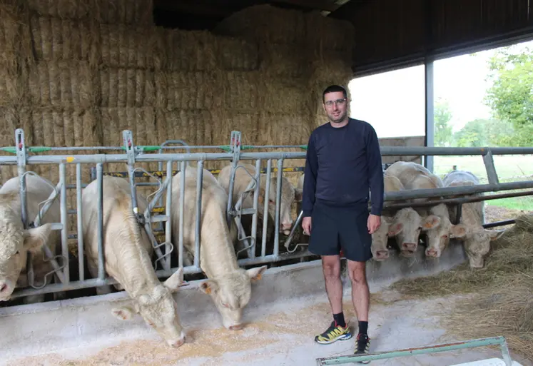 <em class="placeholder">éleveur charolaise broutards Ain</em>