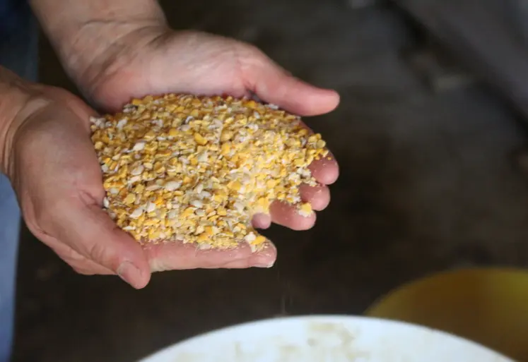 <em class="placeholder">lupin concassé</em>