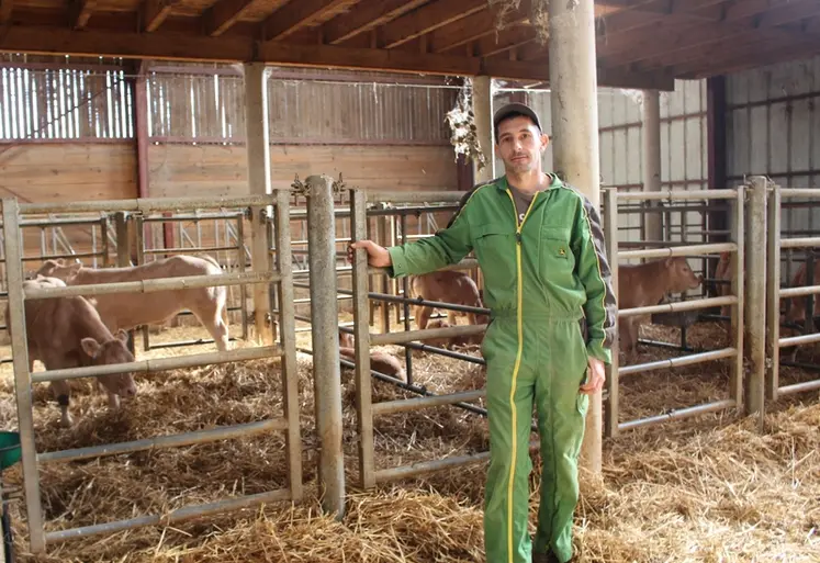 <em class="placeholder">éleveur veaux sous la mère</em>