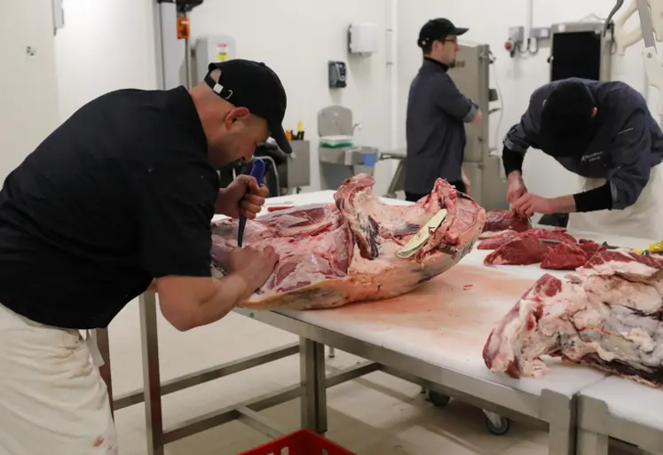 <em class="placeholder">Deux bouchers decoupant une carcasse de boeuf Charolais dans un atelier de decoupe bovin dans les Ardennes.</em>