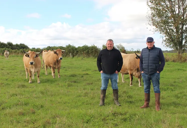 <em class="placeholder">éleveurs prairies troupeau aubrac</em>