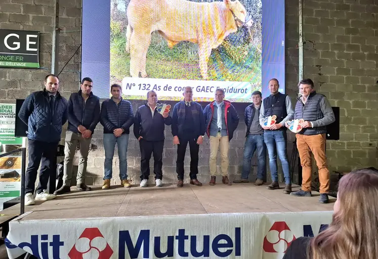 concours charolaise cercy-la-tour 2025