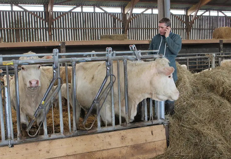 <em class="placeholder">éleveur charolaises stabulation téléphone</em>