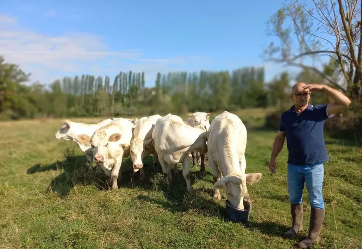 <em class="placeholder">agriculteur et charolaises</em>