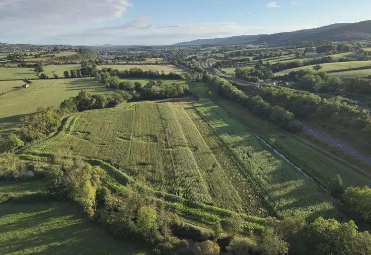 <em class="placeholder">essai sorgho mono-coupe Ferm'Inov Saône-et-Loire vue par drone</em>