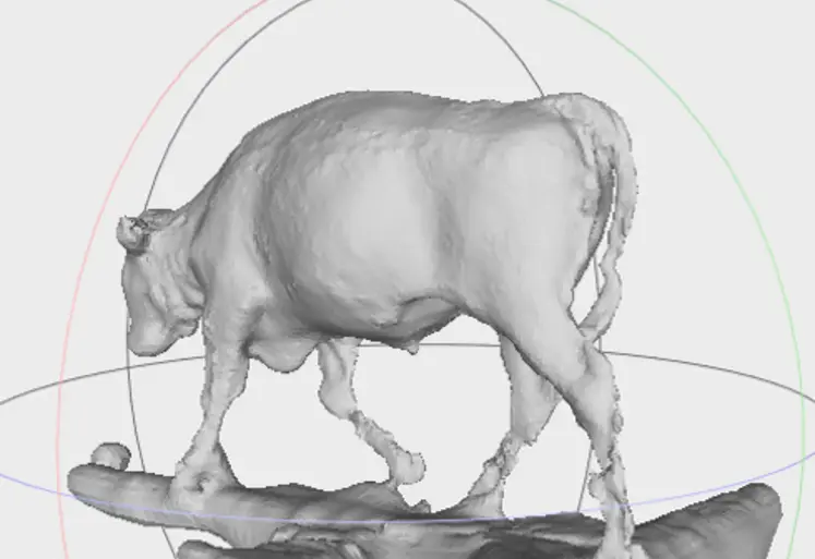 <em class="placeholder">pheno 3D scanner 3D automatisation poids vif et pointage veaux de races allaitantes</em>