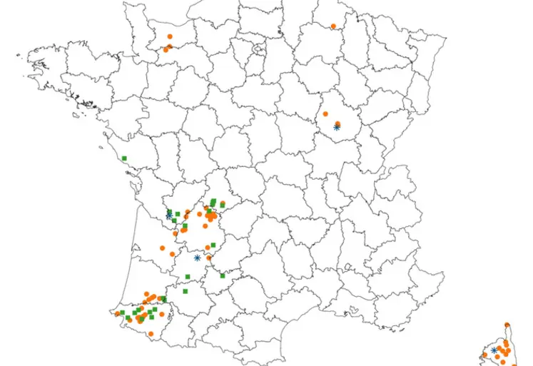 <em class="placeholder">Le taux d’incidence de la tuberculose bovine en France s’établit donc à 0,07% (93 foyers sur 139 000 cheptels), un niveau stable sur la période 2017-2025.</em>