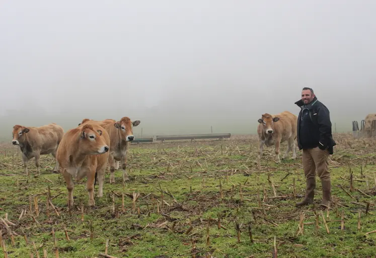 <em class="placeholder">éleveur prairie parthenaises brouillard </em>