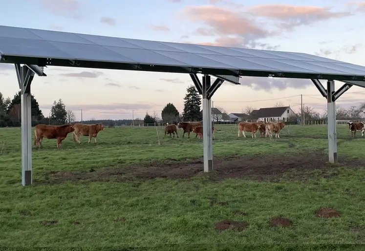 <em class="placeholder">prototype ombrière agrivoltaïque Triangle Sol'R, Loir-et-Cher, élevage bovins Limousine</em>