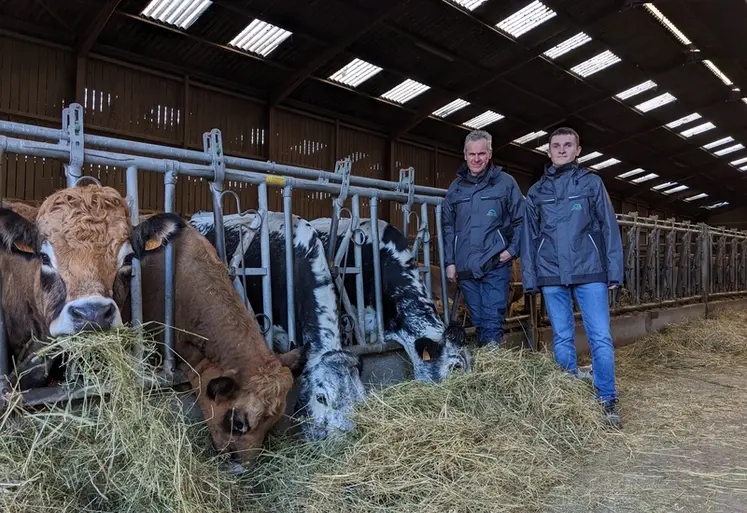 <em class="placeholder">éleveurs stabulation aubrac vosgienne</em>