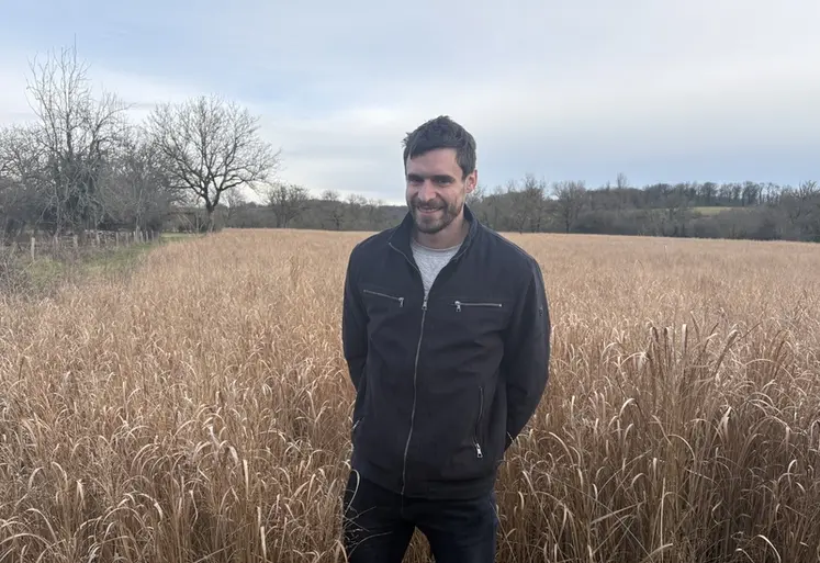 <em class="placeholder">éleveur dans sa parcelle de switchgrass en deuxième année, Lot</em>