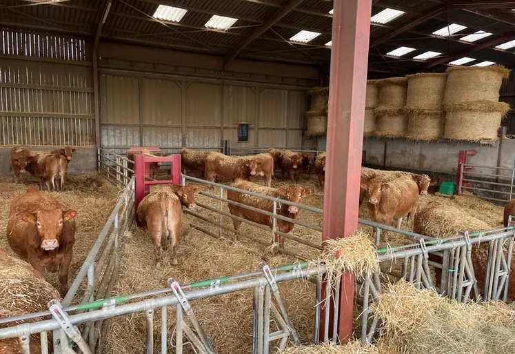 <em class="placeholder">bâtiment limousines contention</em>