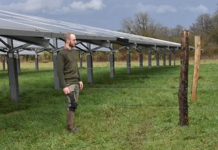 agrivoltaïsme éleveur prairie 