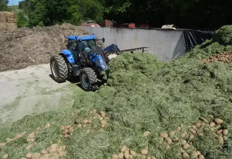 <em class="placeholder">silo ensilage herbe et pommes de terre</em>