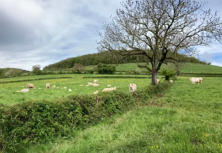 <em class="placeholder">Ferm'Inov Jalogny ferme expérimentale</em>