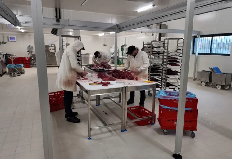 <em class="placeholder">Atelier de découpe, bouchers en train de tailler la viande</em>