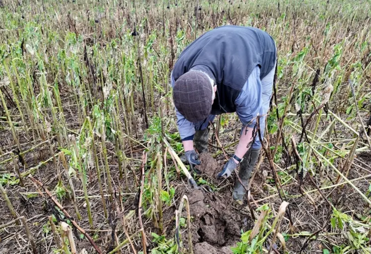 <em class="placeholder">Agriculture avec sa bêche </em>