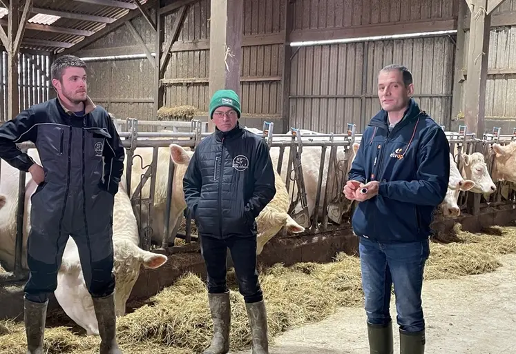 <em class="placeholder">éleveurs et conseiller bâtiment vaches charolaises</em>