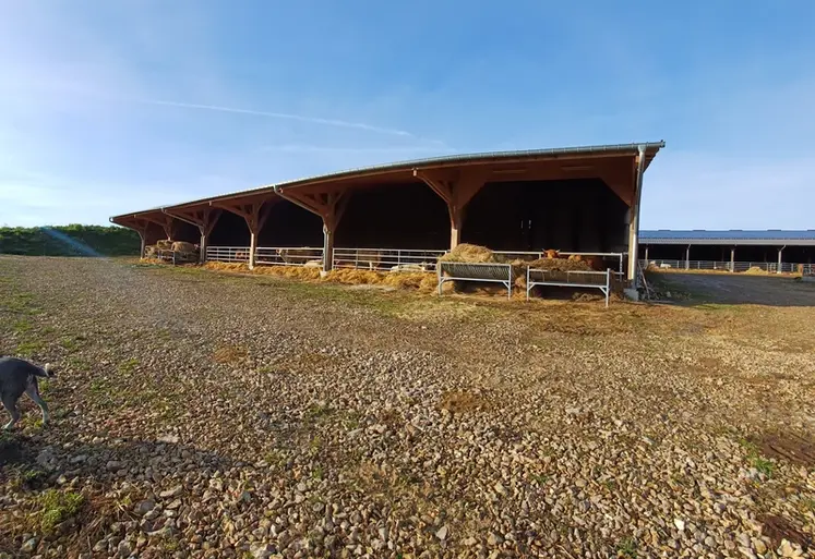 <em class="placeholder">stabulation bois bovins en engraissement Yonne</em>