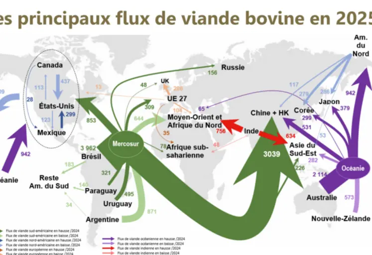 <em class="placeholder">carte des échanges internationaux de viande bovine</em>