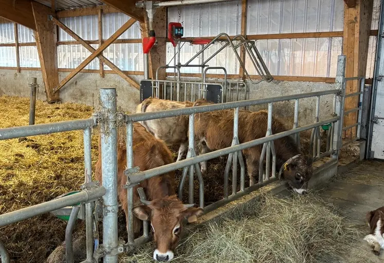 <em class="placeholder">veaux aubrac bio Ariège bâtiment avec station DAC</em>
