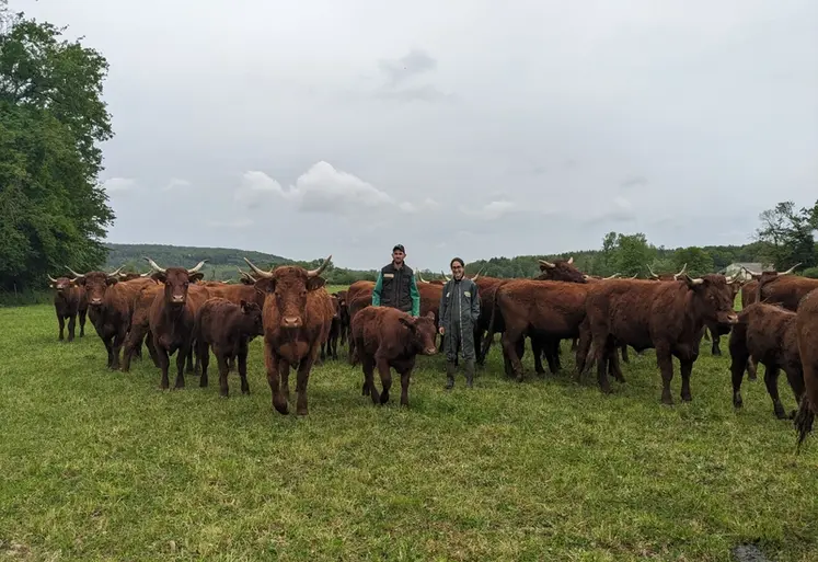 <em class="placeholder">éleveurs et vaches salers au pré</em>