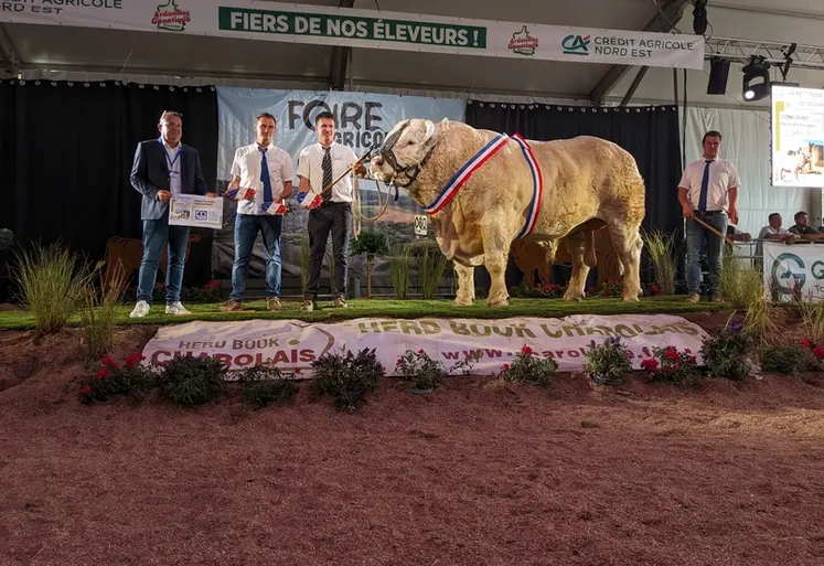 <em class="placeholder">Texan, taureau charolais, grand champion du concours nation charolais 2026</em>