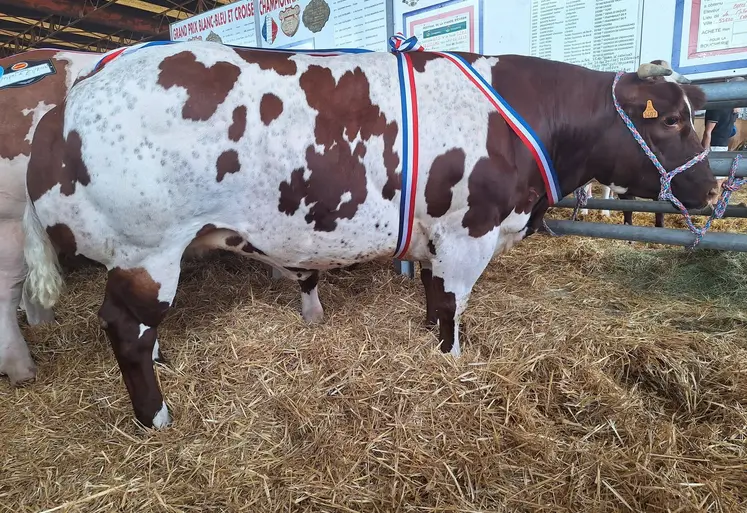 Festival de la viande d'Evron