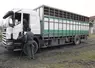 transport bovins camion